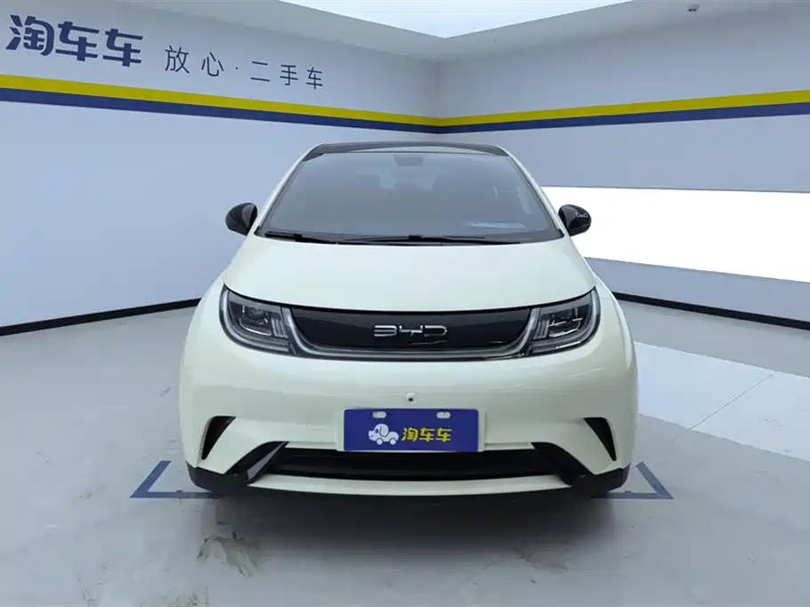 BYD dolphin