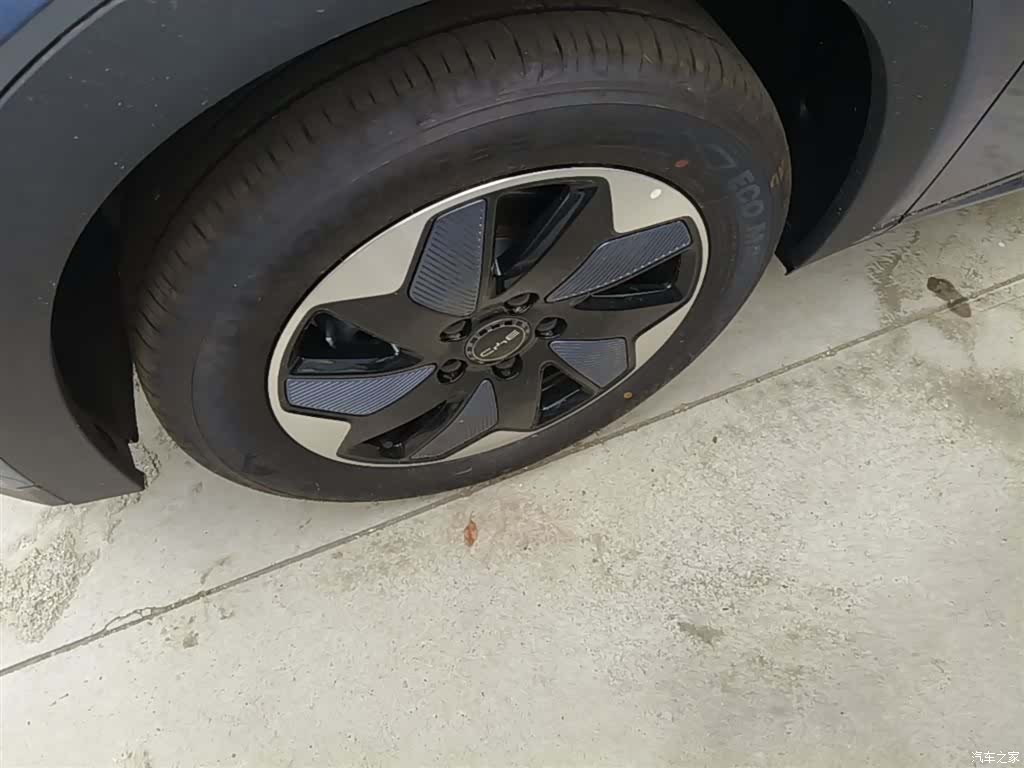 BYD Dolphin, 2026 23