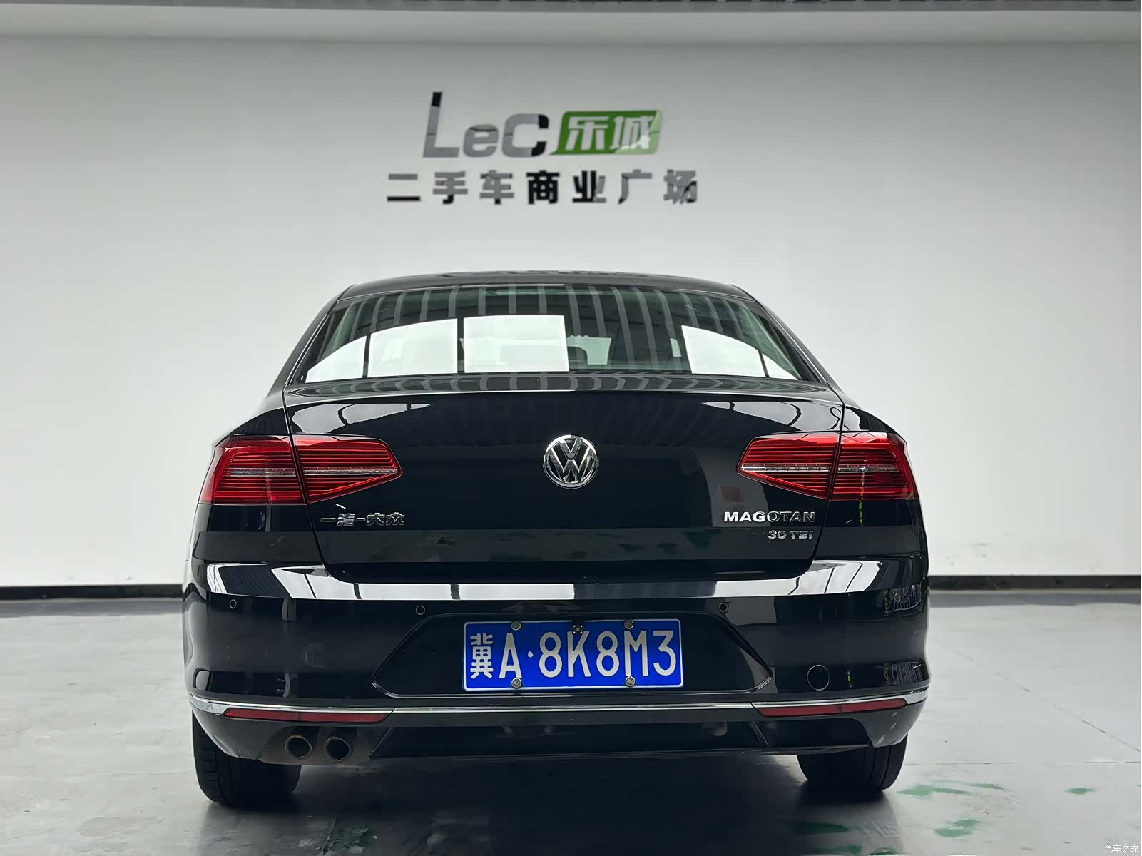 Volkswagen Magotan, 2020 12