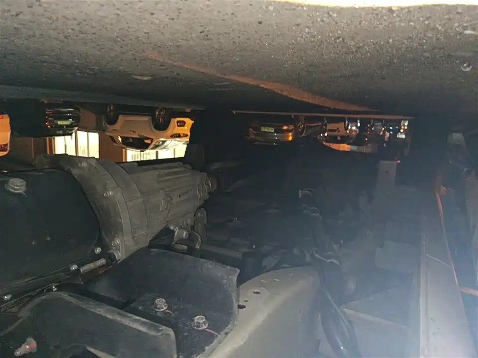 Jinbei Little Sea Lion X30