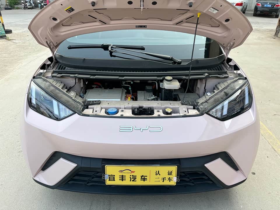 BYD Seagull