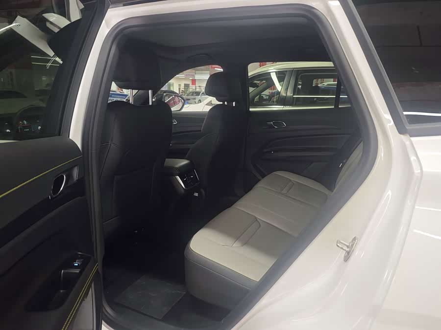 Ford Lingrui PHEV 2025, фото 12