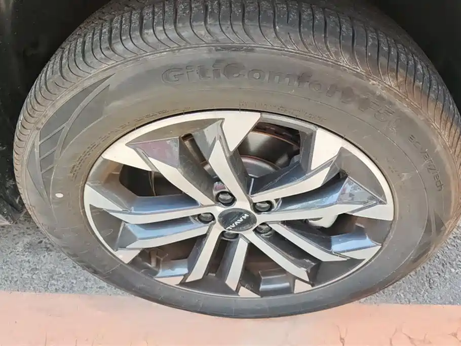 Haval Second-generation big dog