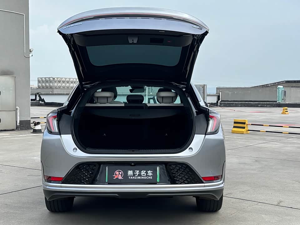 ARCFOX Polar Fox Alpha S