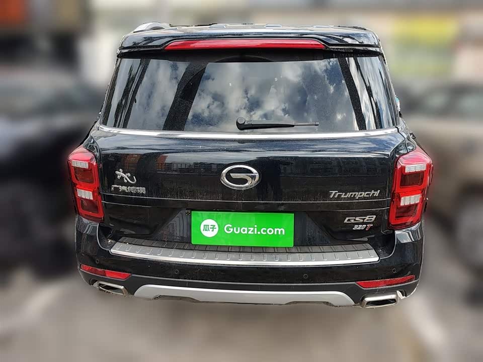 Trumpchi Trumpchi GS8