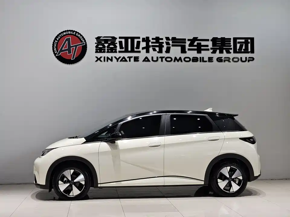 BYD dolphin