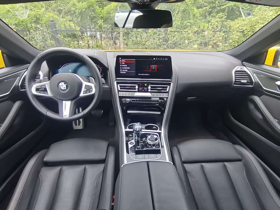 BMW 8 Series 2025, фото 28