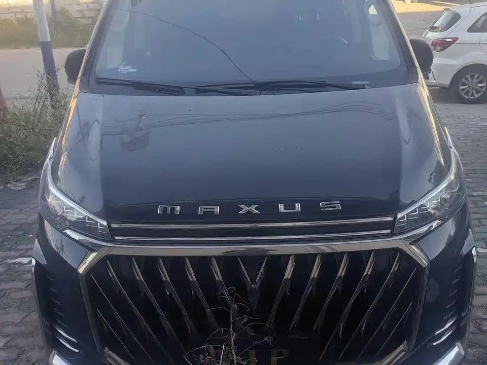 MAXUS Chase G20