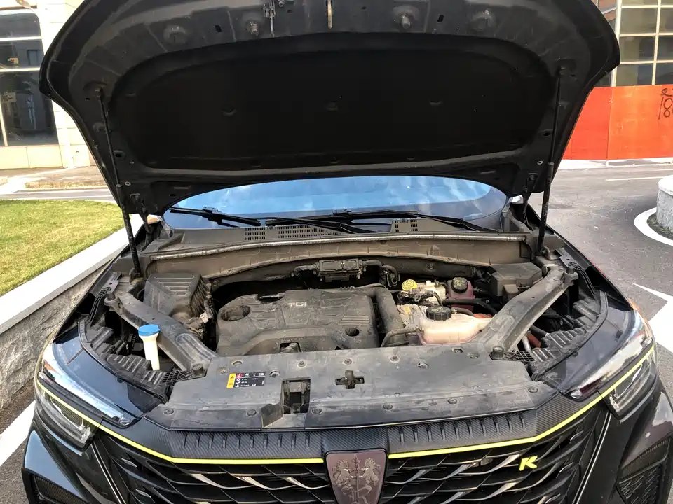 Roewe RX5 New energy