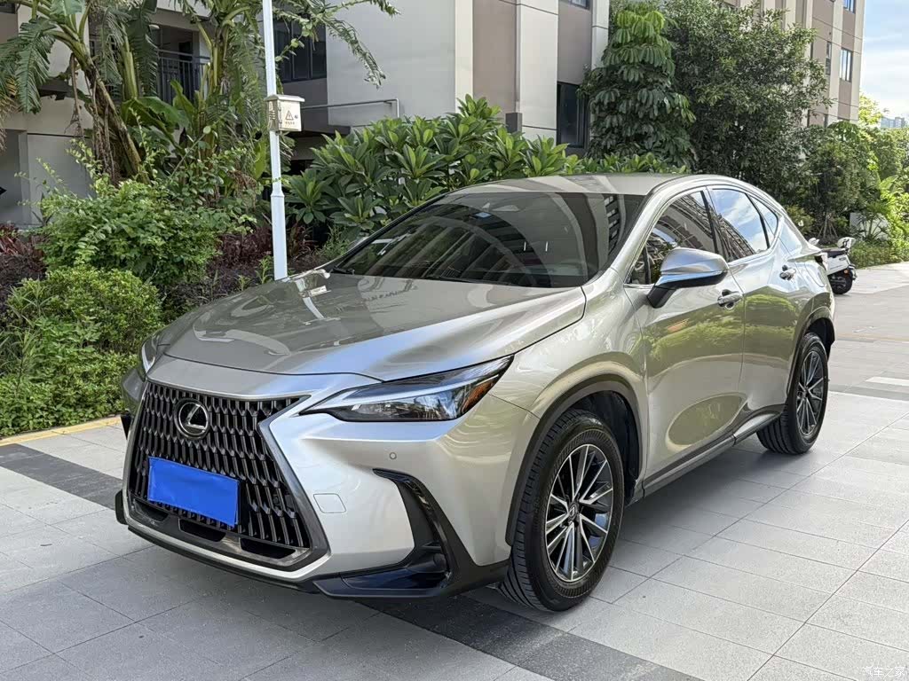 Lexus NX, 2024 1