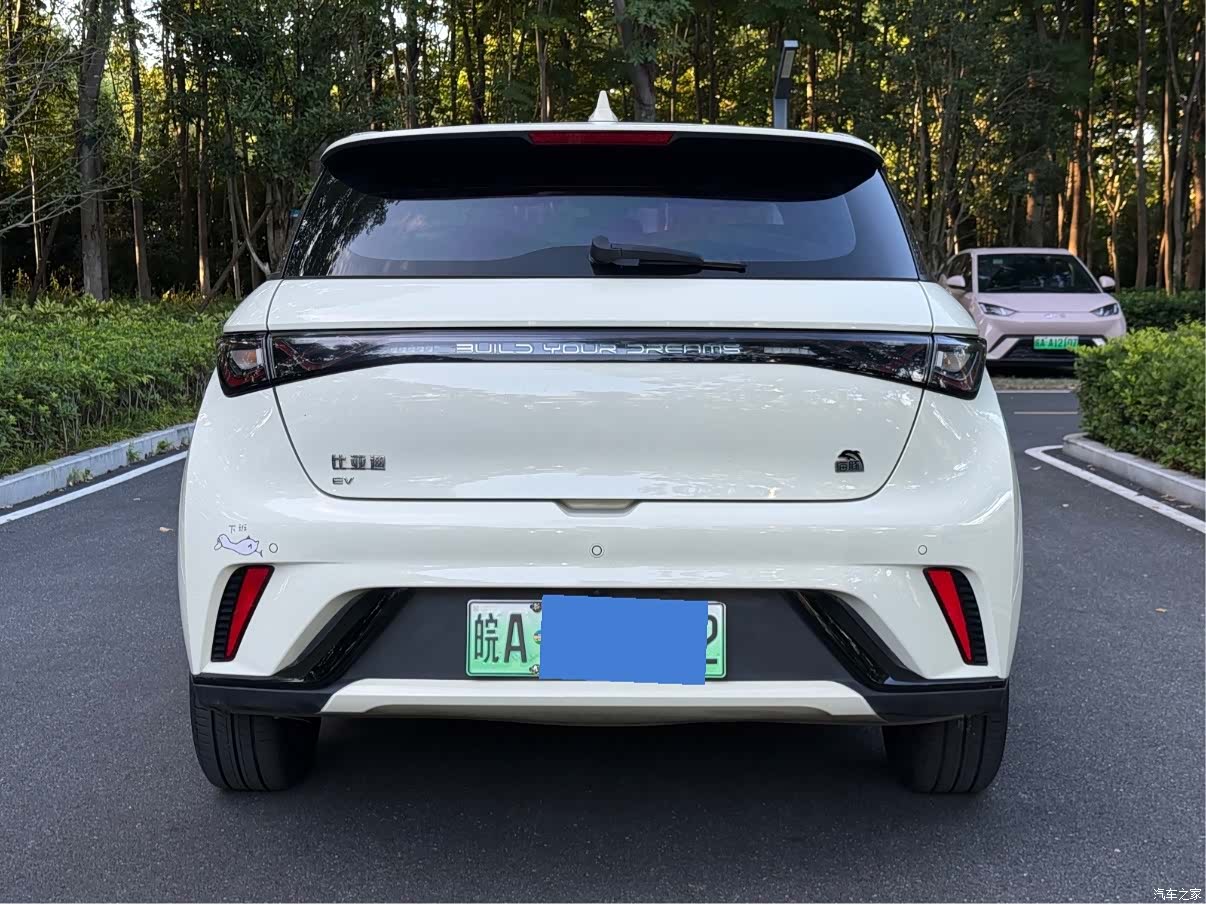 BYD Dolphin, 2023 все фото