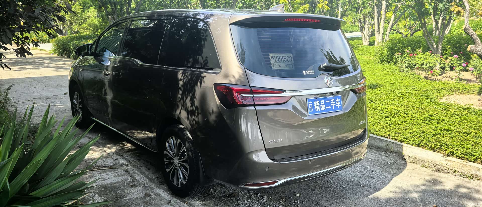 Buick GL8, 2023 все фото
