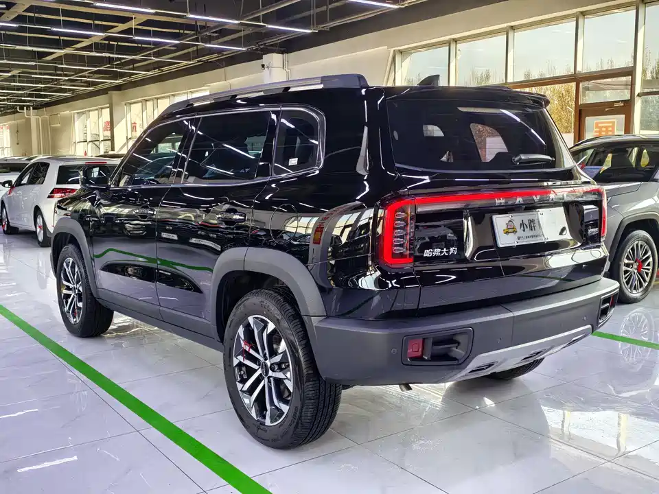 Haval Big dog