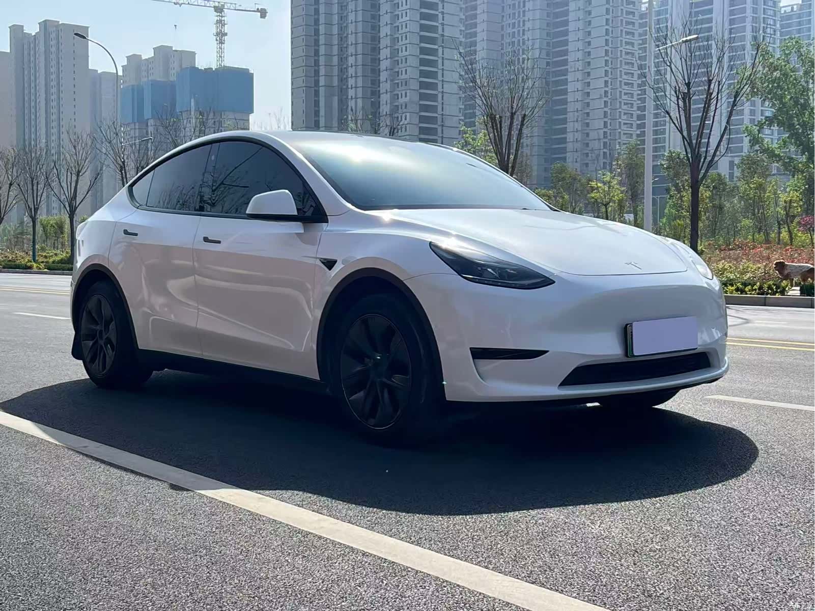 Tesla Model Y, 2024 1