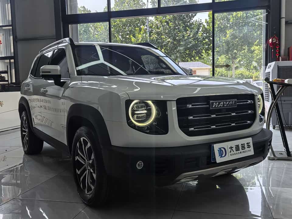 Haval Big dog