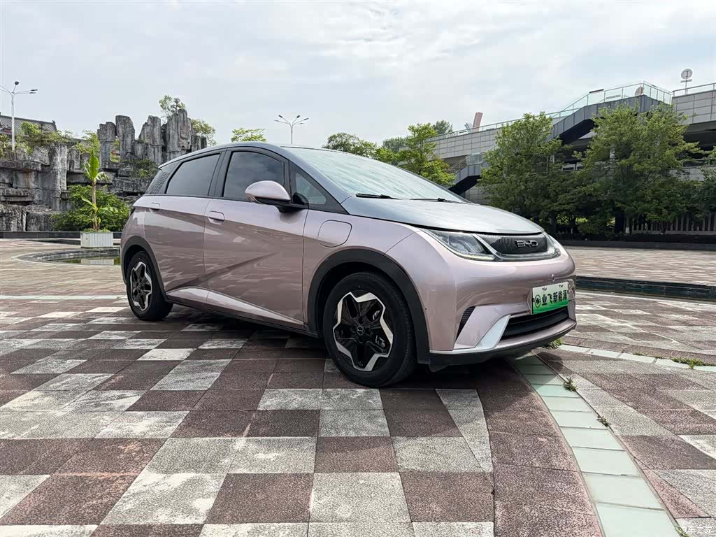 BYD Dolphin, 2022 2