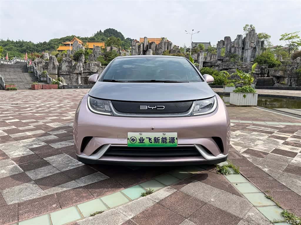 BYD Dolphin, 2022 3