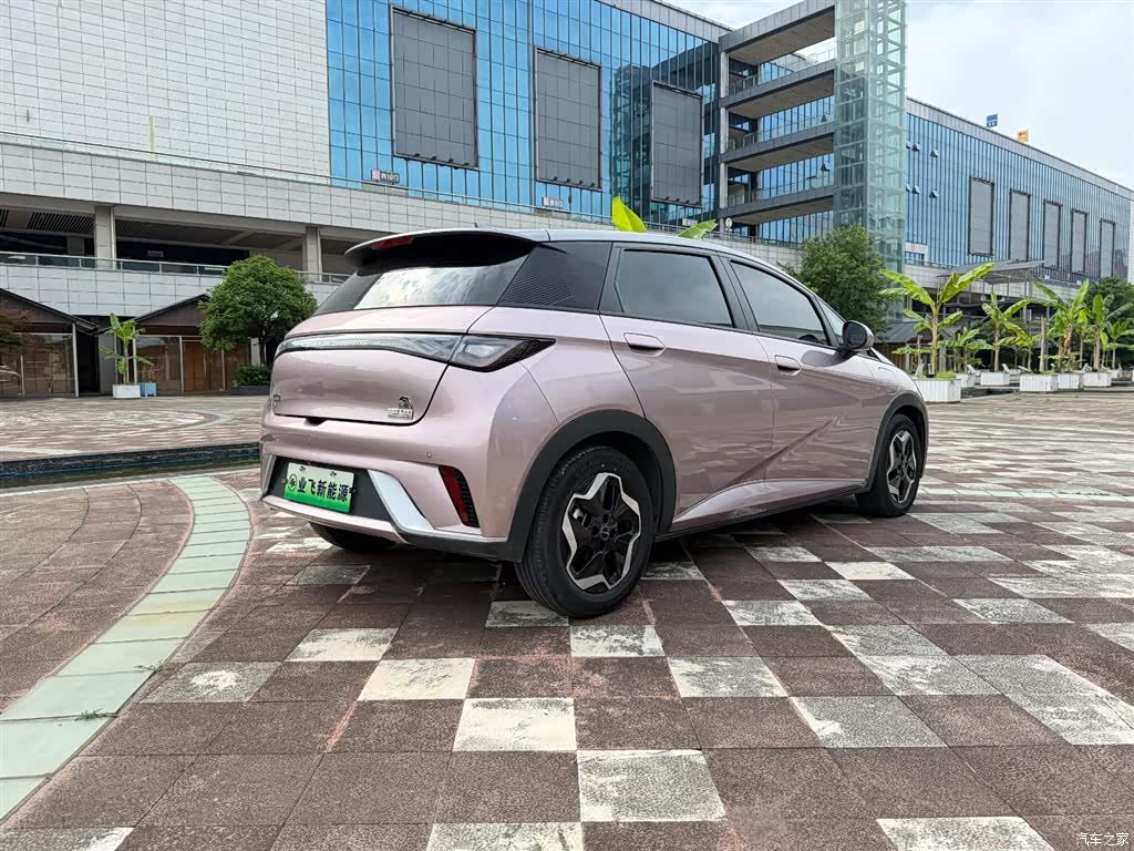 BYD Dolphin, 2022 4