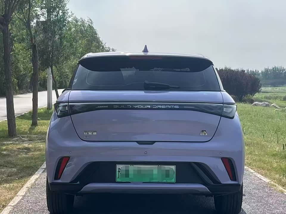 BYD dolphin