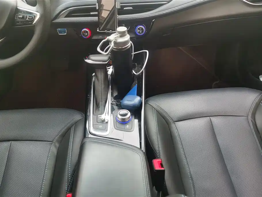 Buick Slightly blue 6