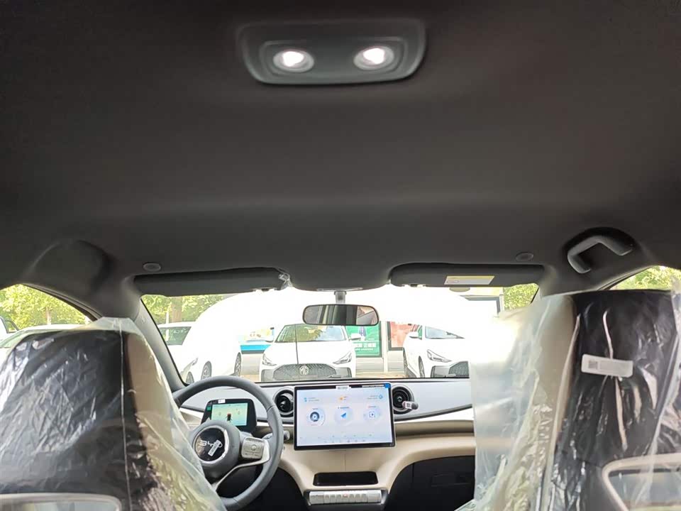 BYD dolphin