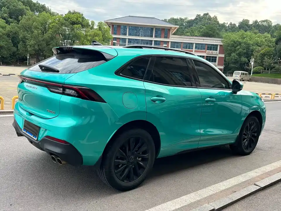 Forthing Popular T5 EVO