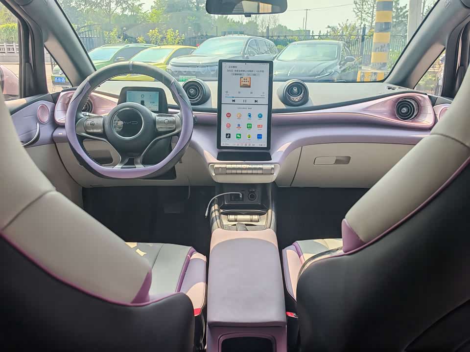 BYD dolphin
