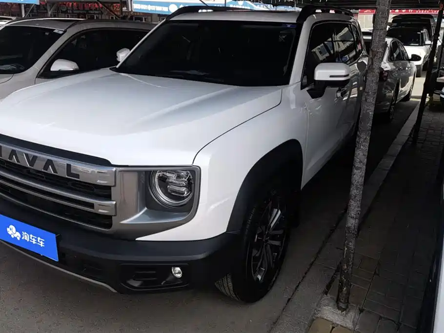 Haval Big dog