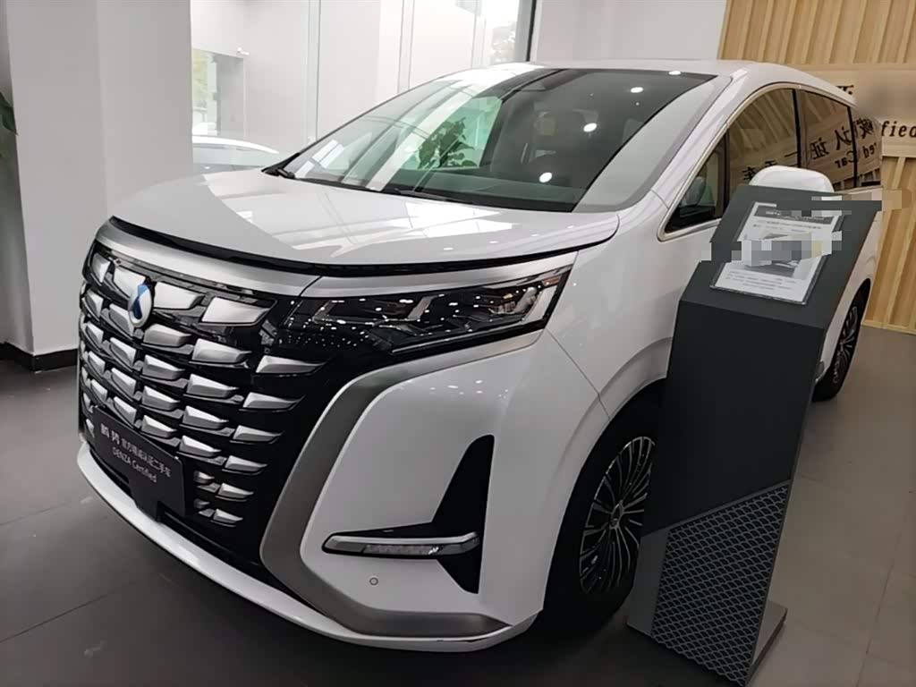 Denza D9