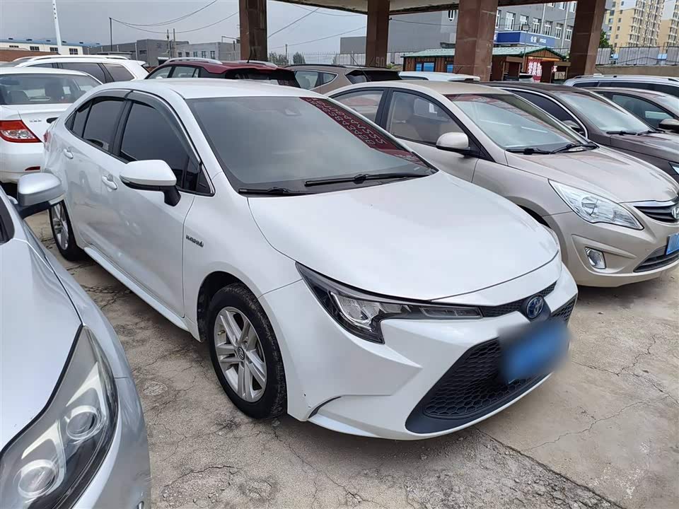 Toyota Lei Ling