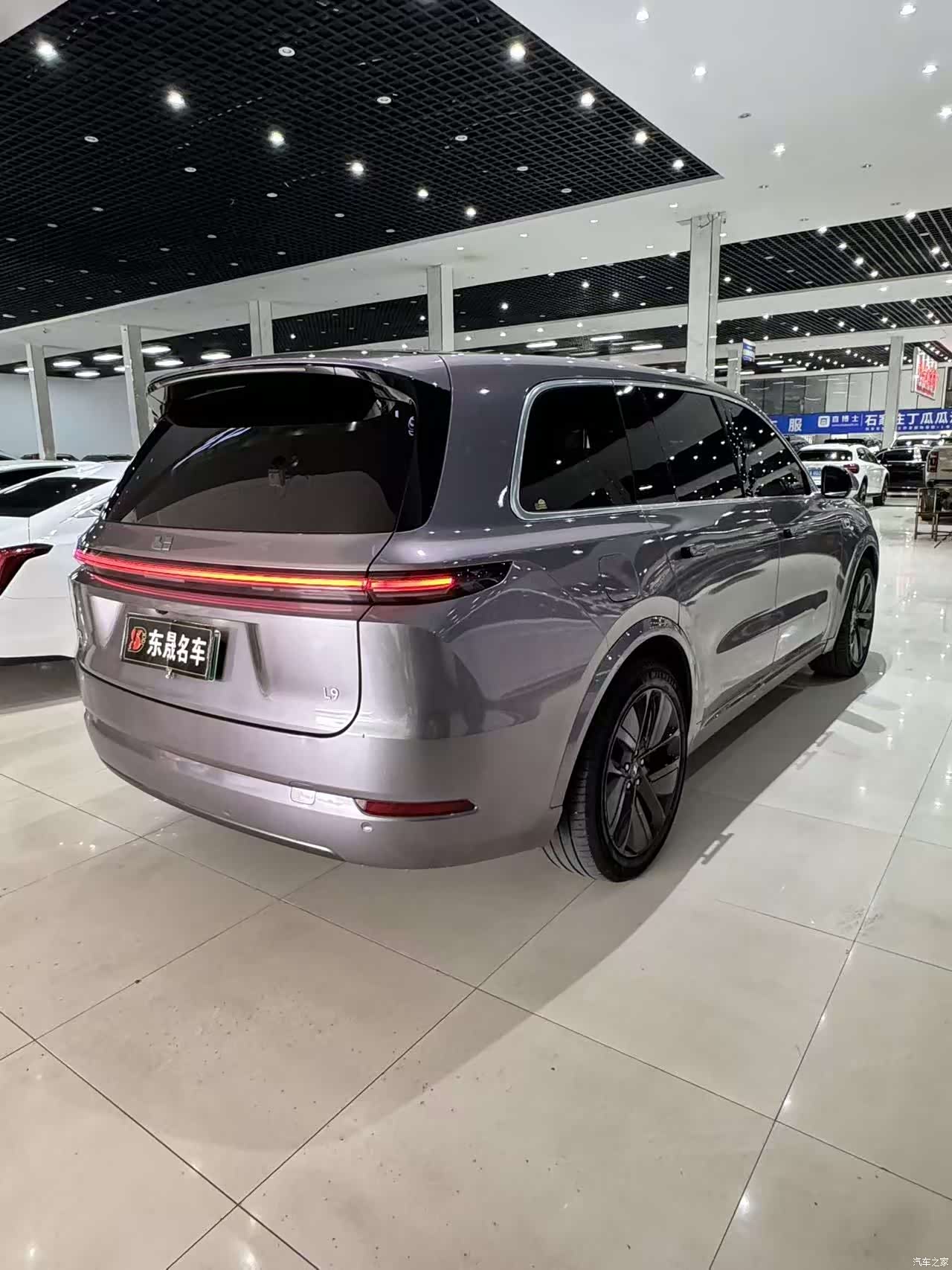 Li Auto L9, 2023 9