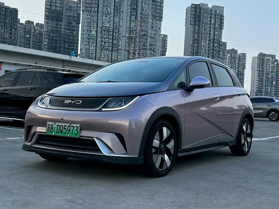 BYD dolphin