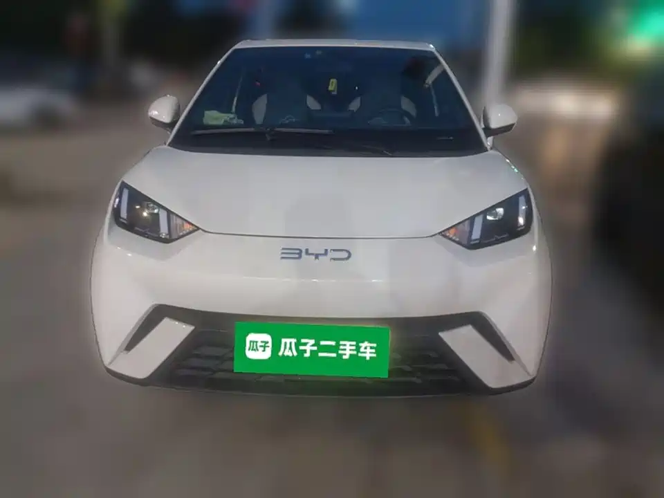 BYD Seagull