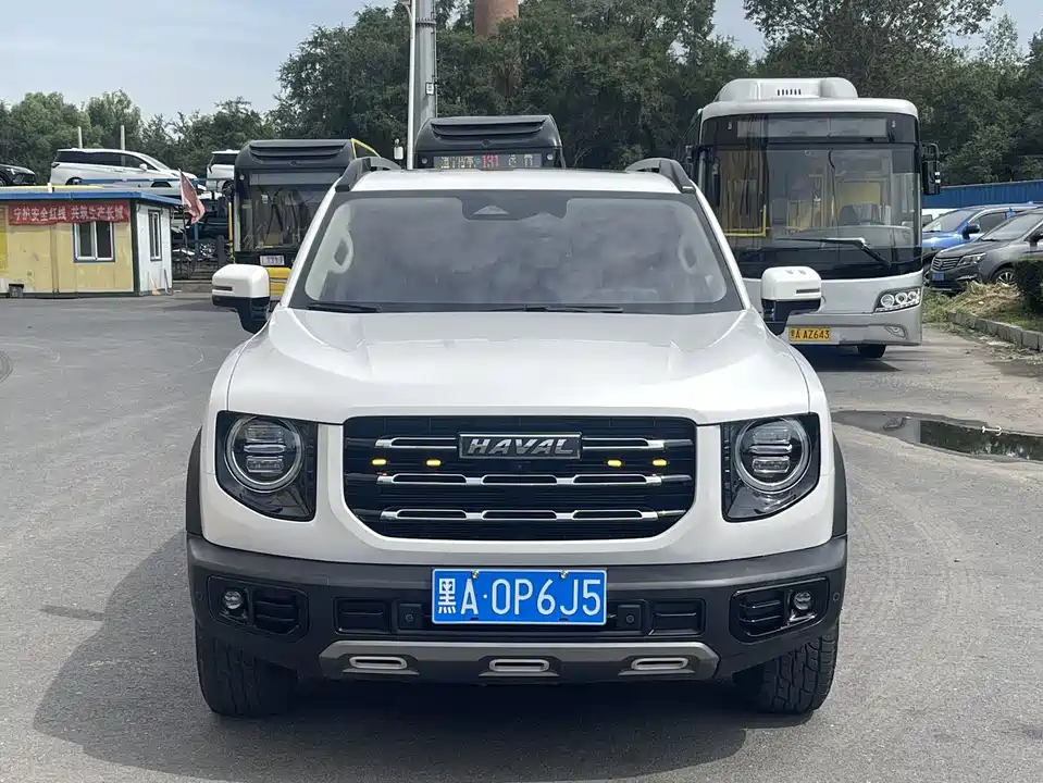 Haval Big dog
