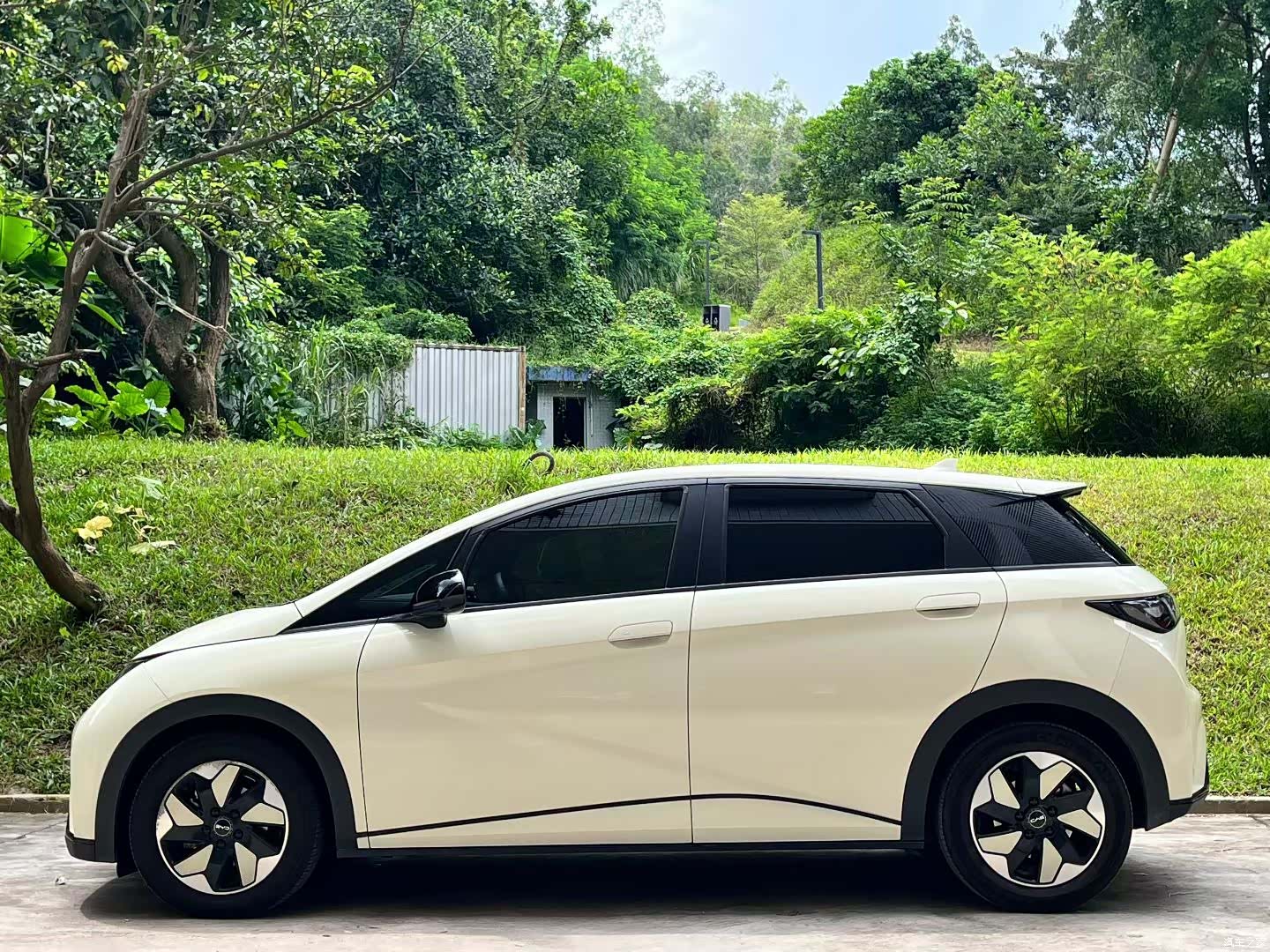 BYD Dolphin, 2024 14