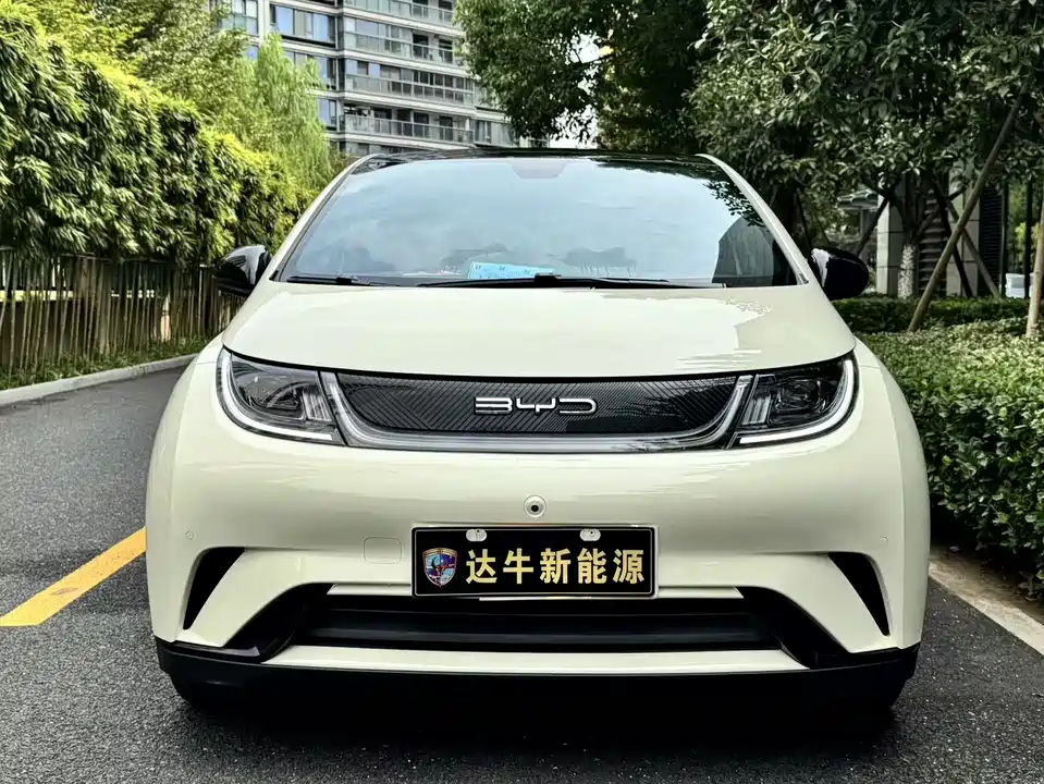 BYD dolphin