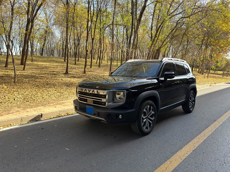 Haval Big dog