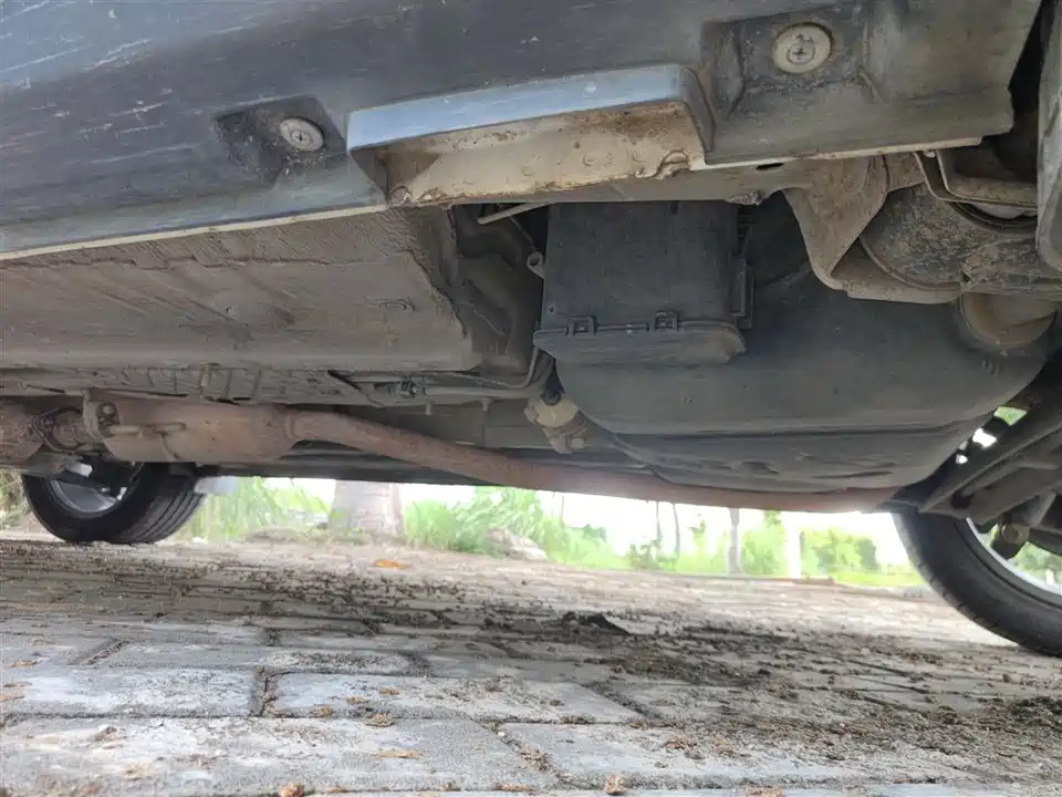 Leopaard Cheetah CS9