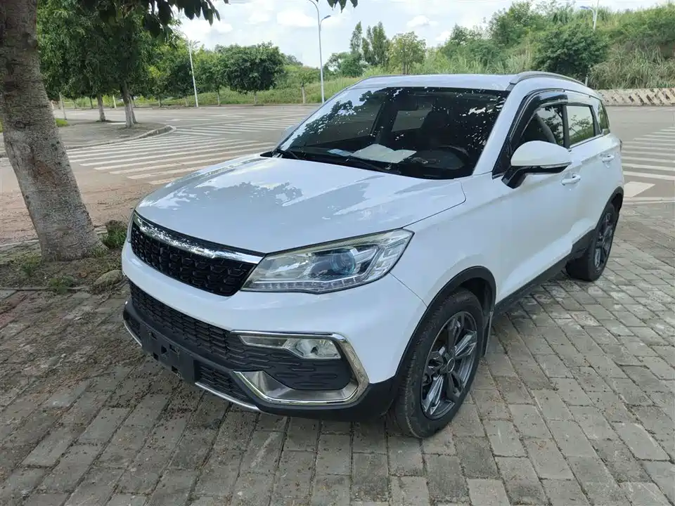 Leopaard Cheetah CS9