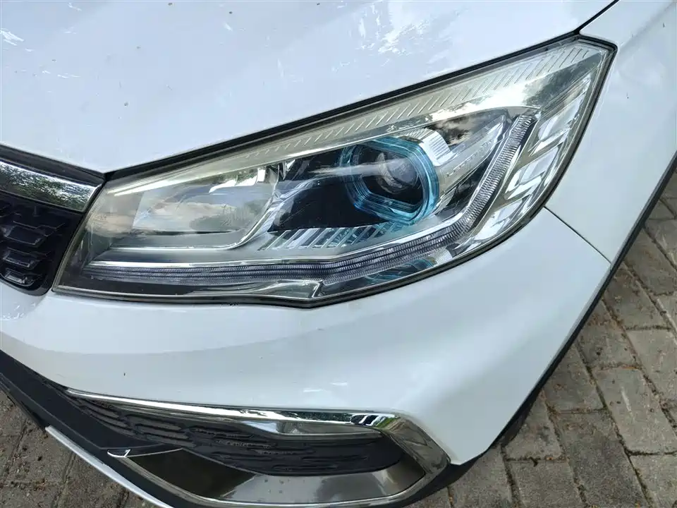 Leopaard Cheetah CS9