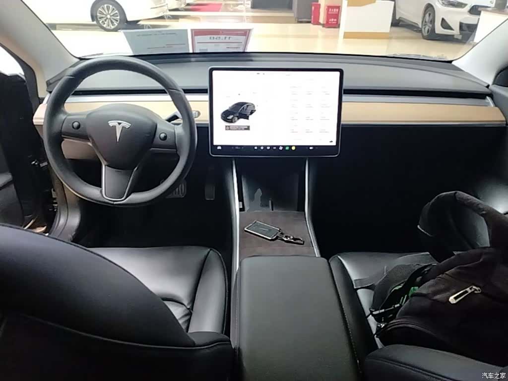 Tesla Model 3, 2020 10