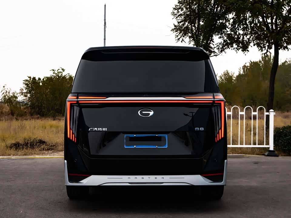 Trumpchi Trumpchi M8