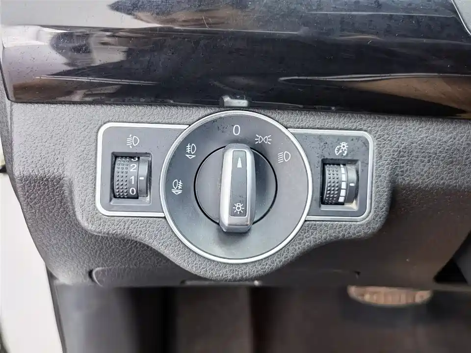 Leopaard Cheetah CS10