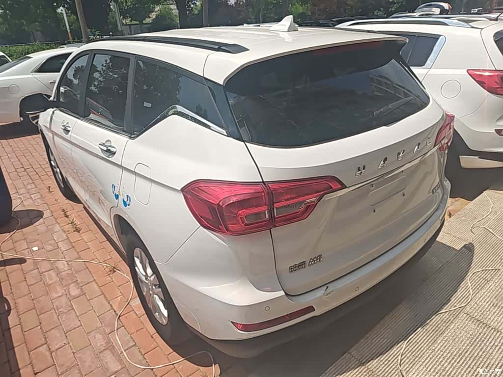 Haval M6, 2020 все фото
