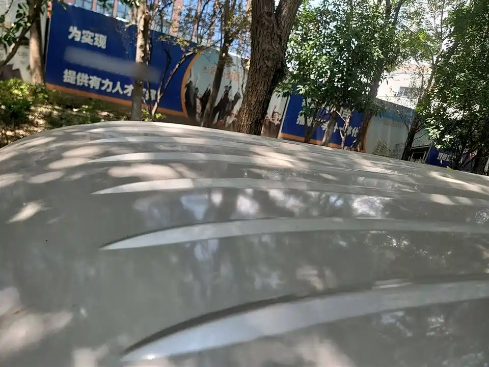 Jinbei Little Sea Lion X30