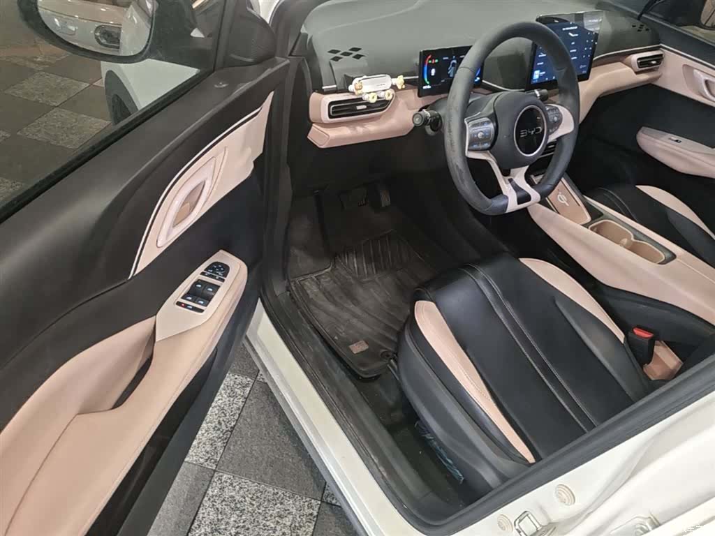 BYD Seagull, 2024 15