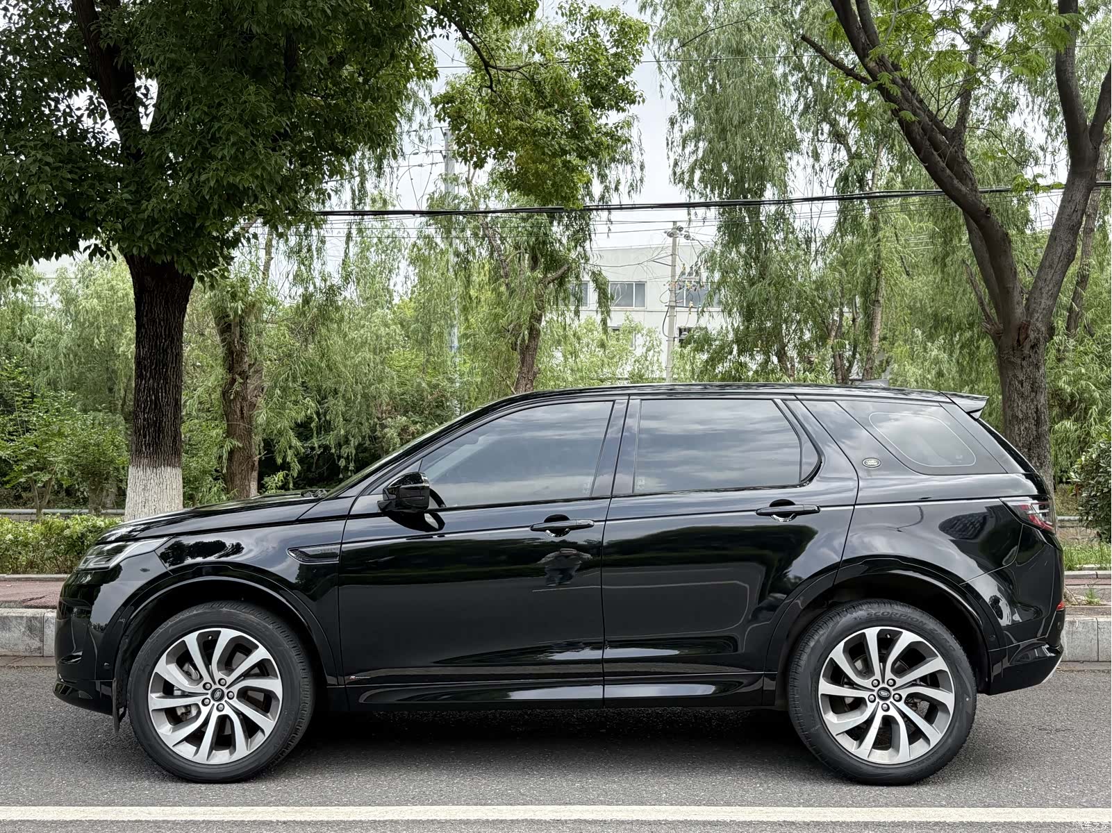 Land Rover Discovery, 2020 все фото