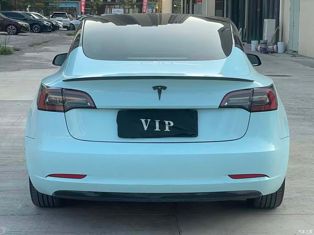 Tesla Model 3, 2021 8