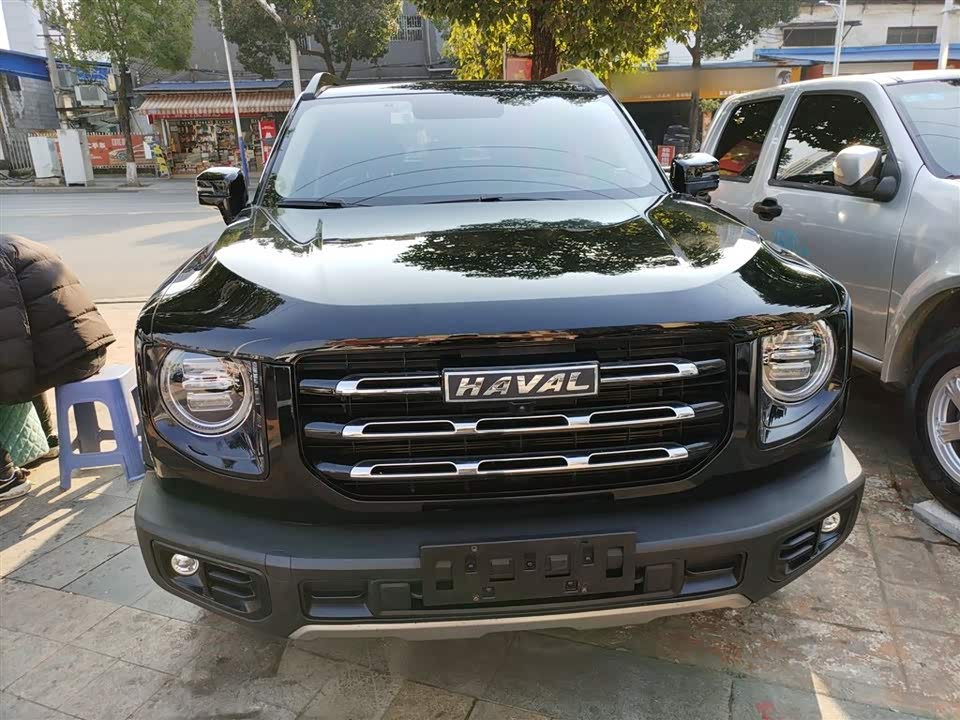 Haval Big dog