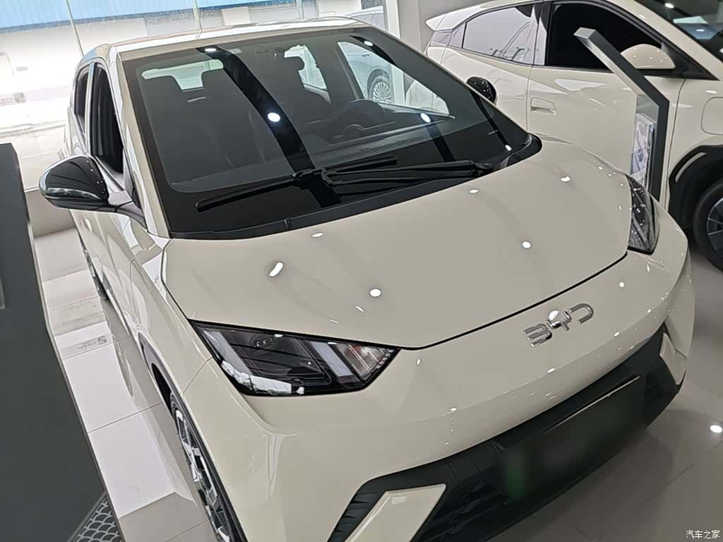 BYD Seagull, 2024 4